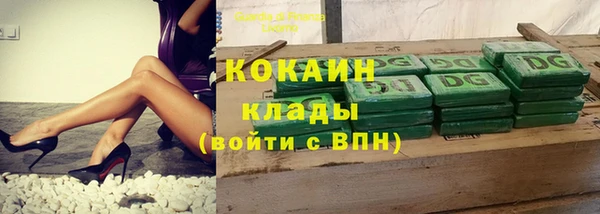 гидра Михайловск