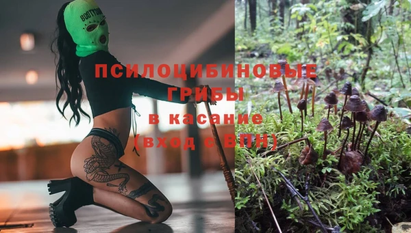 стаф Михайловка