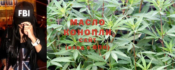 СК Медногорск