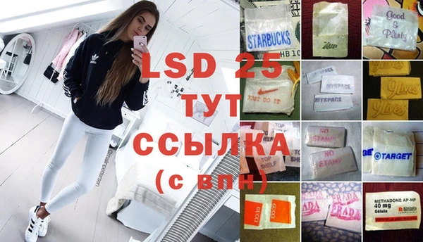 гидра Михайловск