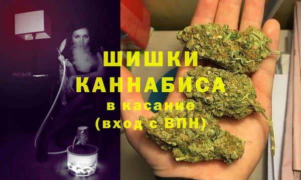 гидра Михайловск