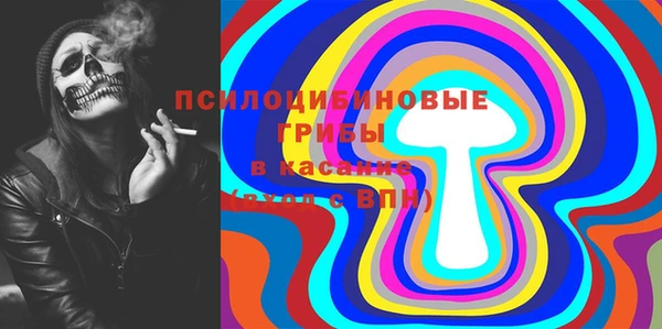 твердый Медвежьегорск