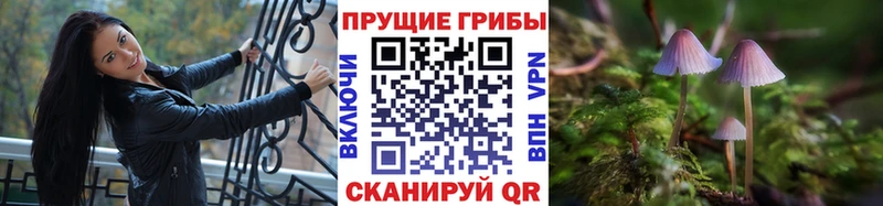 MEGA tor  Олёкминск  Псилоцибиновые грибы прущие грибы  что такое наркотик 